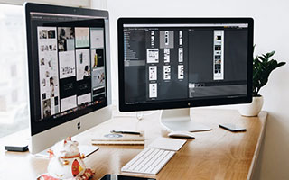 《露谷指南》：终极新手入门攻略